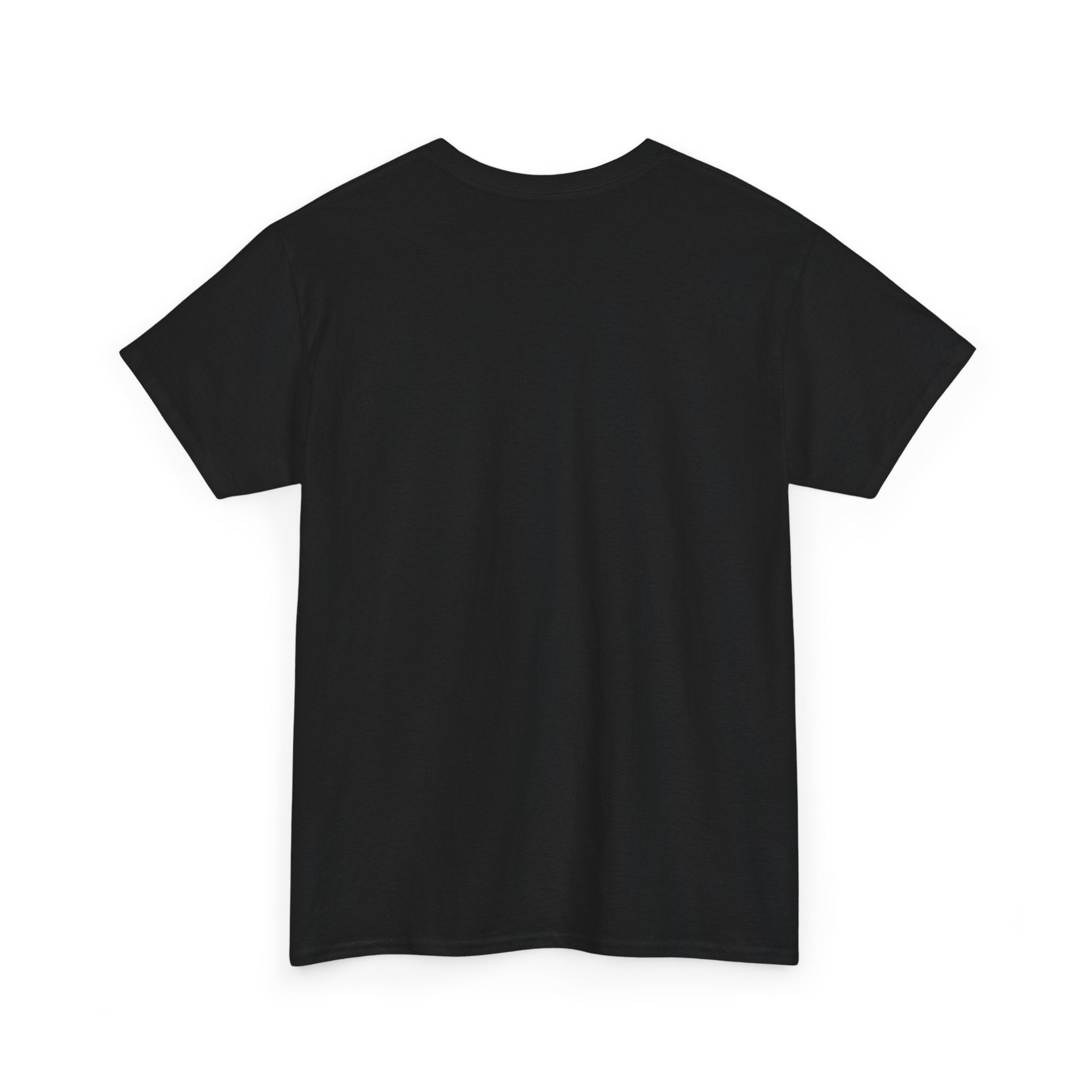 Copy of The Diary of a CEO Unisex Heavy Cotton Tee - Perfect for Entrepreneurs and Creative Minds