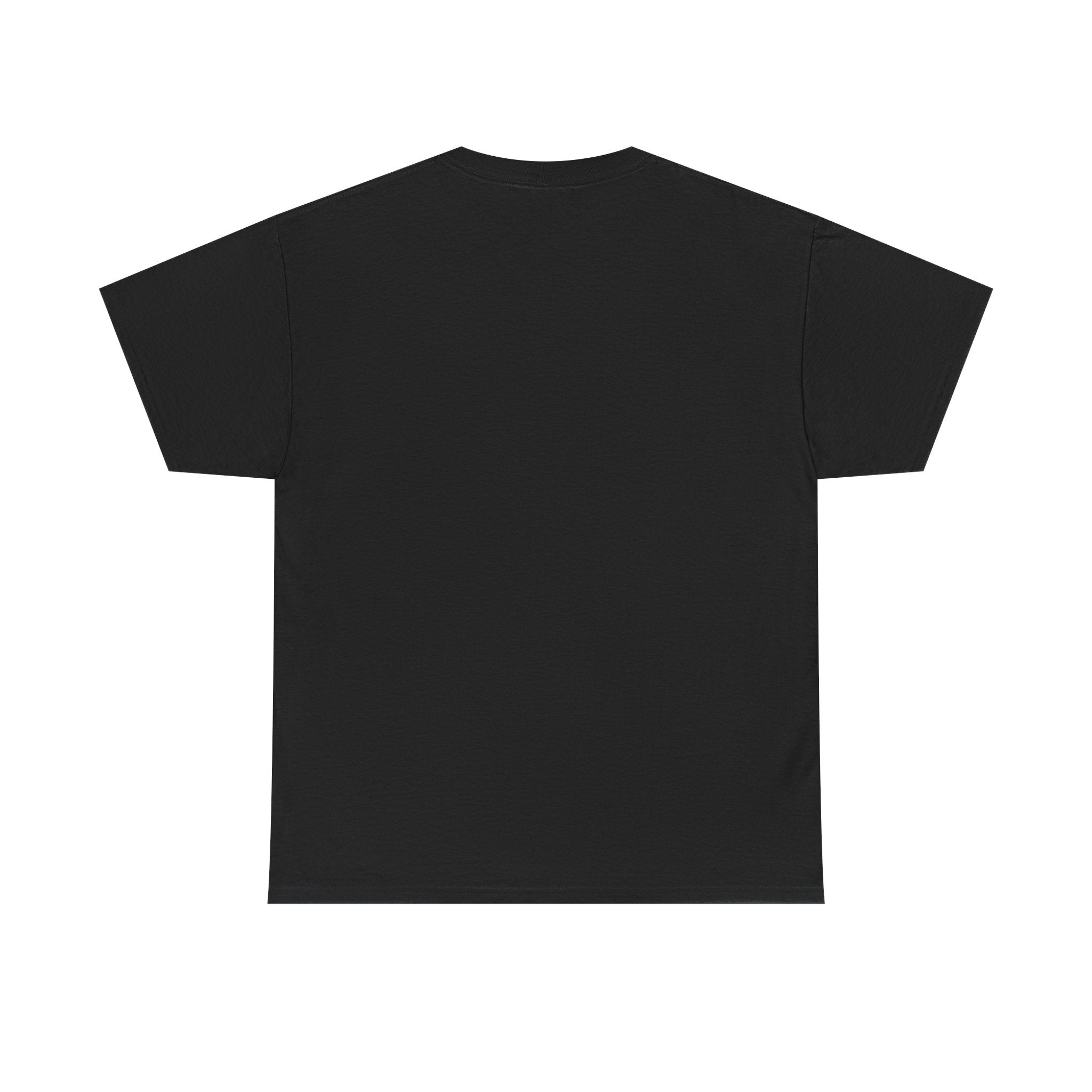 Copy of The Diary of a CEO Unisex Heavy Cotton Tee - Perfect for Entrepreneurs and Creative Minds
